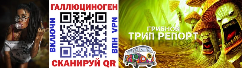 Галлюциногенные грибы мухоморы  Купить  Павловская 