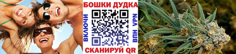 Купить где  Павловская  Конопля MAZAR 